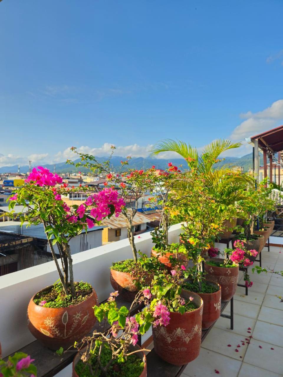 Hotel Residencial Brest Amazon Tarapoto Exterior foto